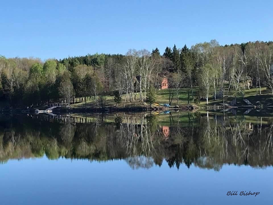 Image of lake and trees