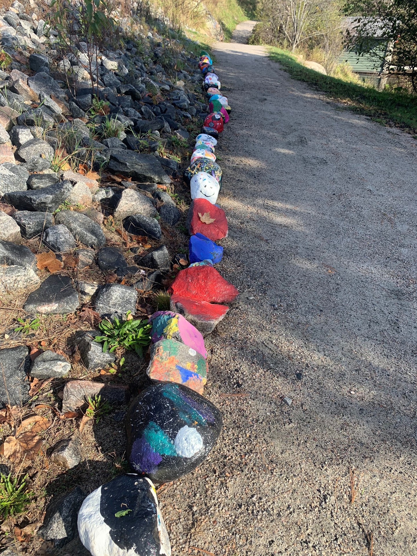 rocks with paintings on them