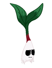 image-25.png