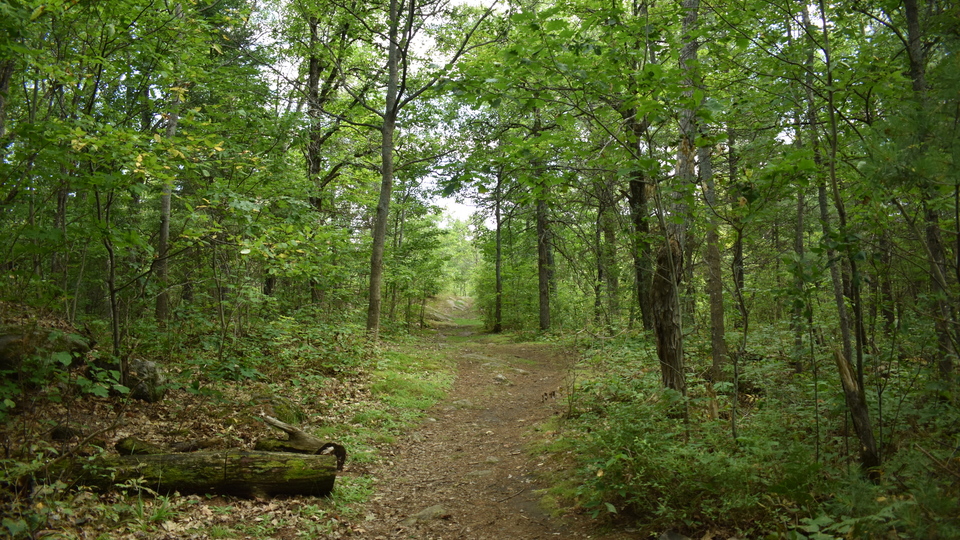 Magnetawan Area Trails - Municipality of Magnetawan